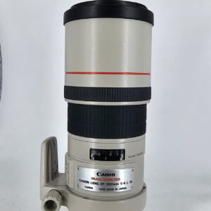 Canon EF 300mm f/4L IS USM