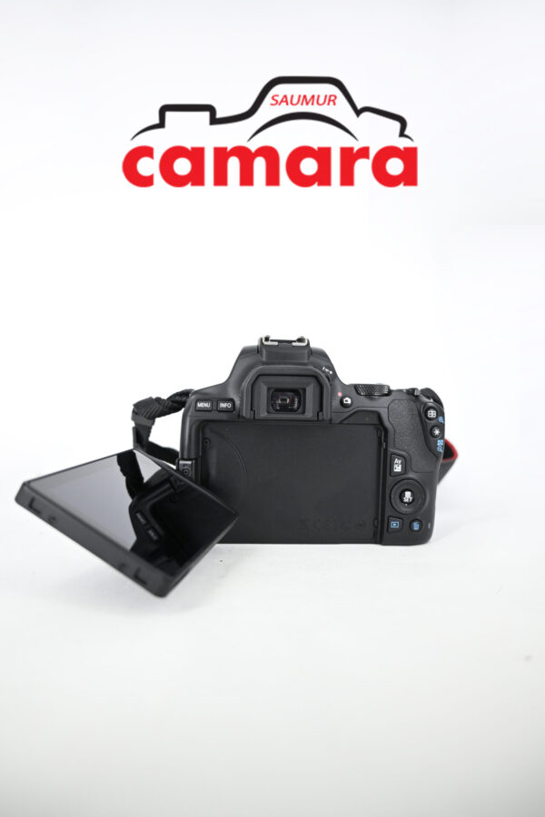 Canon EOS 250D + Canon EF-S 18-55mm f/3.5-5.6 IS II USM – Image 2