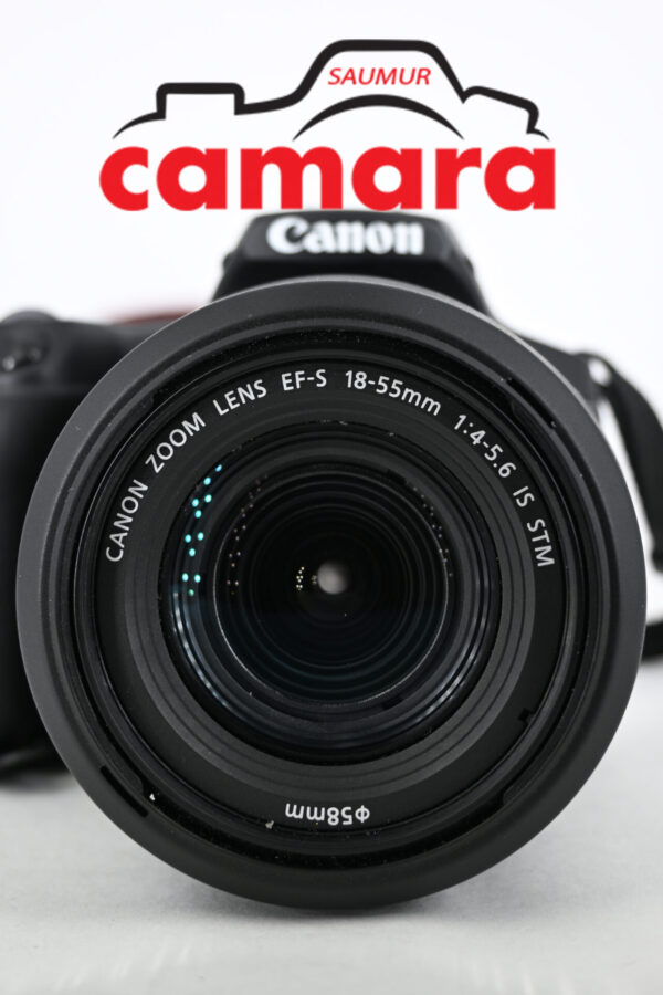 Canon EOS 250D + Canon EF-S 18-55mm f/3.5-5.6 IS II USM – Image 5